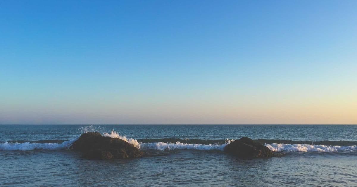 Catalyzing Progress: Tech Startups Driving SDG 9 and Sustainable Innovation